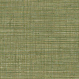 Arte Jv800 tierra Unito tierra behang in kleur 6655 (6655) - Product close-up