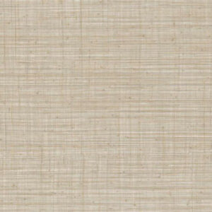 Arte Jv800 tierra Unito tierra behang in kleur 6658 (6658) - Product close-up