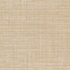 Arte Jv800 tierra Unito tierra behang in kleur 6659 (6659) - Product close-up