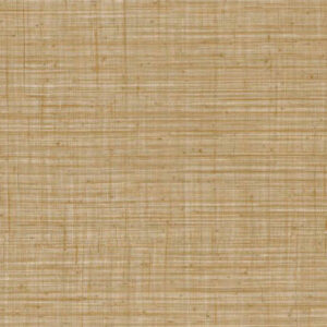 Arte Jv800 tierra Unito tierra behang in kleur 6660 (6660) - Product close-up