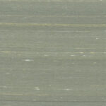 Arte Kami Dupion behang in kleur Sage (87204) - Product close-up