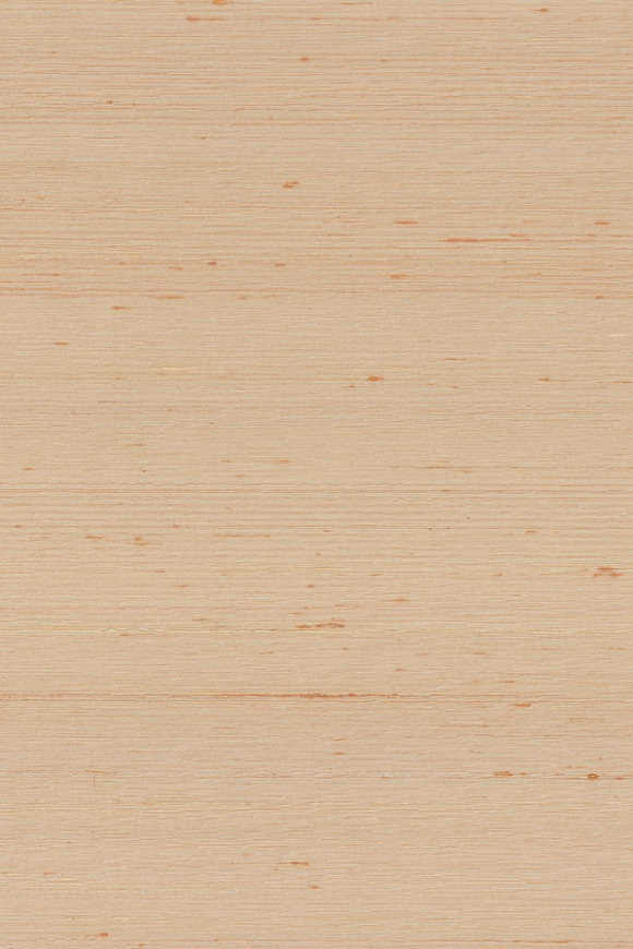 Arte Kami Dupion behang in kleur Champagne (87211) - Product close-up