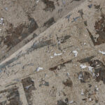 Arte Les forets Eclat behang (48042) - Sfeerbeeld