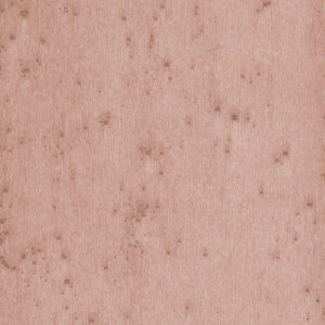 Arte Lush Stellar behang in kleur 37503A (37503A) - Product close-up