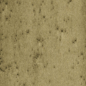 Arte Lush Stellar behang in kleur 37510A (37510A) - Product close-up