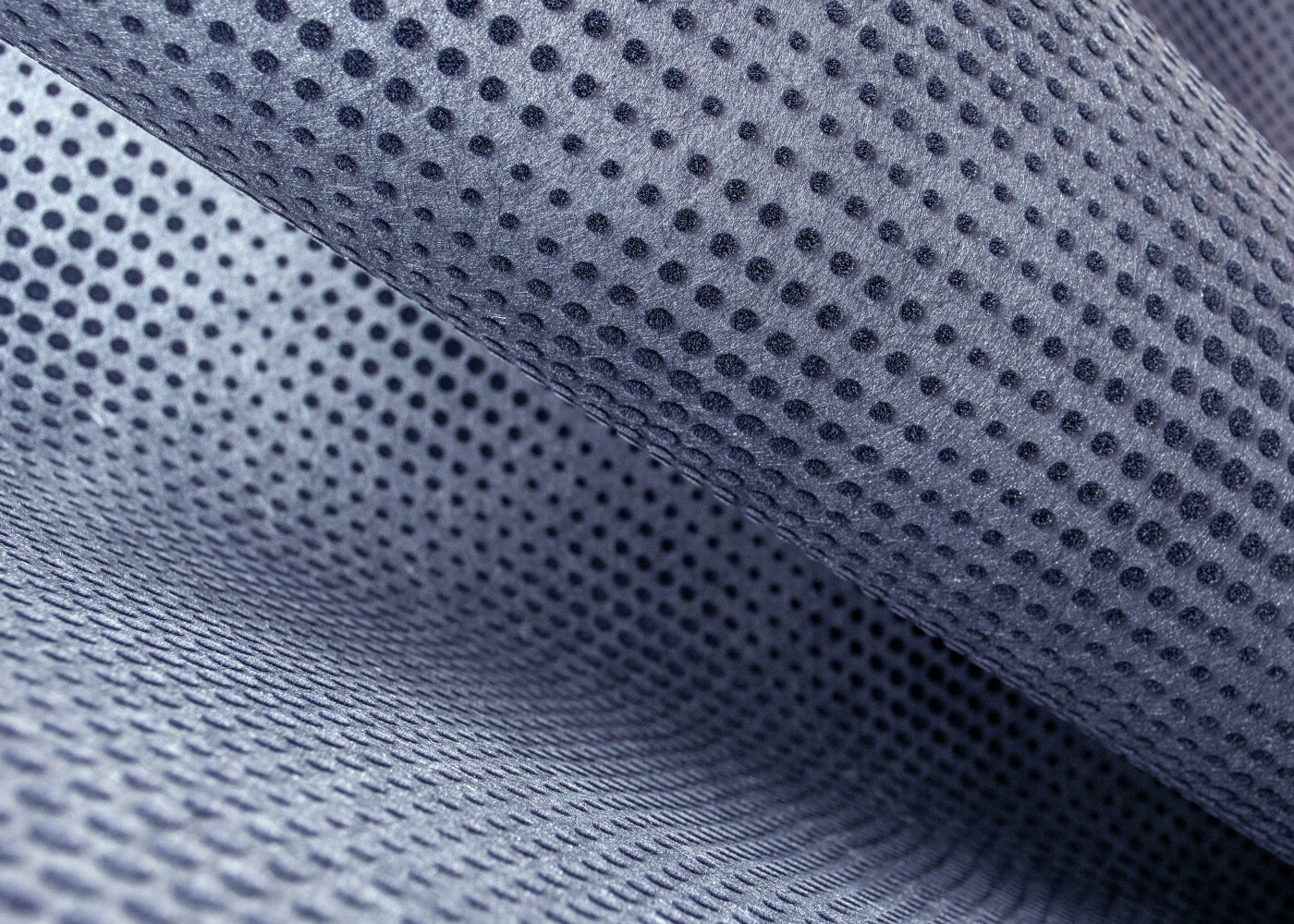 Moooi Wallcovering Extinct Animals Blooming Seadragon