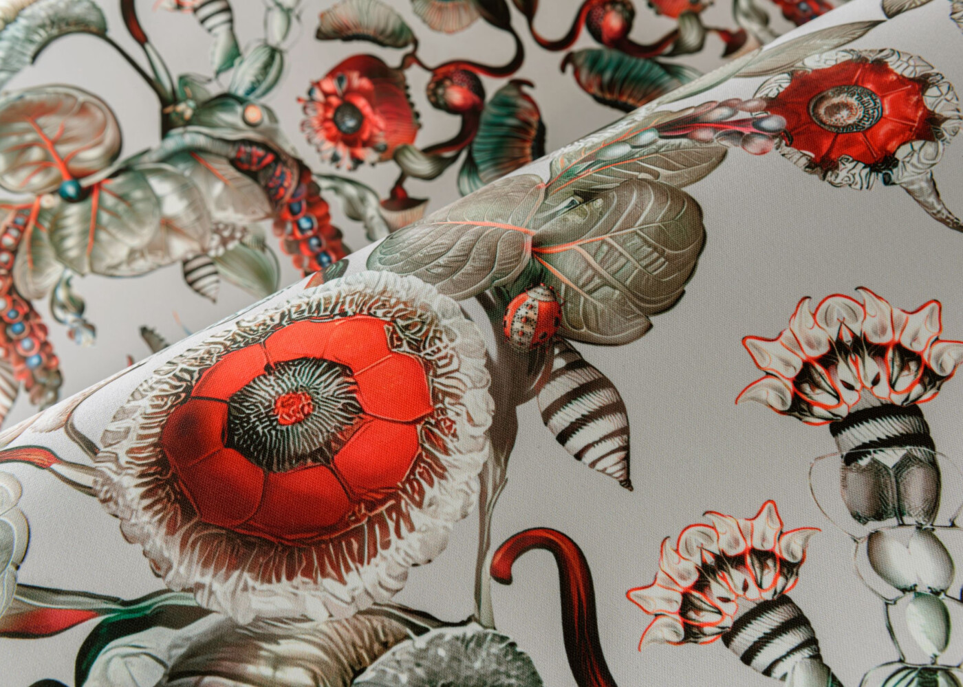 Moooi Wallcovering Green House Coccinella Bella