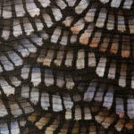 Moooi wallcovering memento moooi Dandelion cranes behang in kleur Prisma (MO4021) - Product close-up