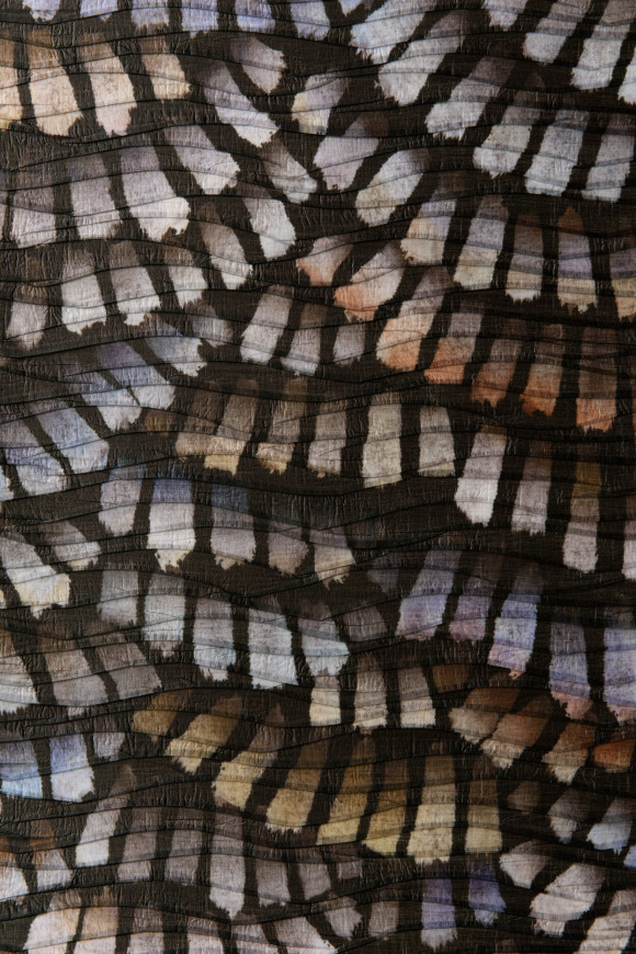 Moooi wallcovering memento moooi Dandelion cranes behang in kleur Prisma (MO4021) - Product close-up