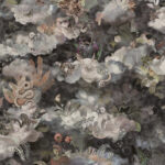 Moooi wallcovering memento moooi Memento moooi medley behang in kleur Dusk (MO4032) - Product close-up