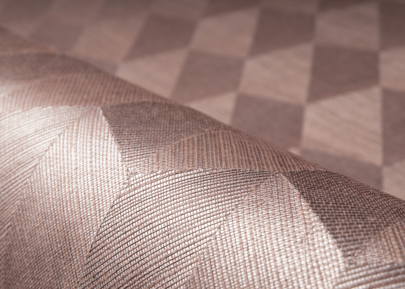 Arte Oculaire Insignia