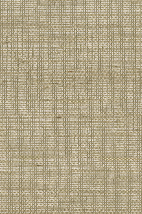 Arte Shades of pale Sop behang in kleur SOP4101 (SOP4101) - Product close-up