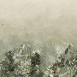 Arte Virginias garden Ferns grow behang in kleur VIR7001 (VIR7001) - Product close-up