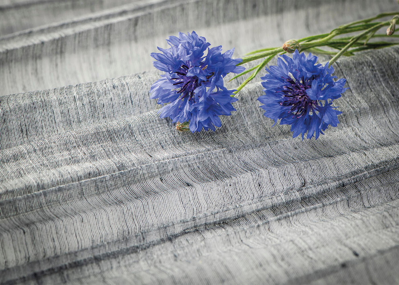 Arte Ode Pleats Please