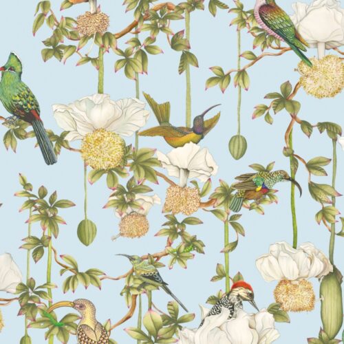 bloemen en vogel behang van Cole and Son Baobab Botanica 129-2007 sky blue kleur