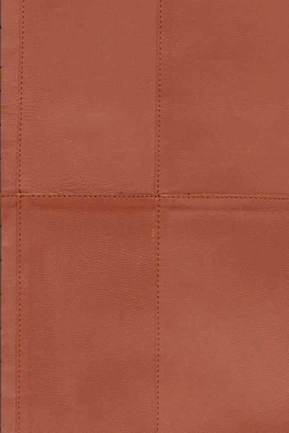 Arte Corium Paladin behang in kleur Paprika (27453) - Product close-up