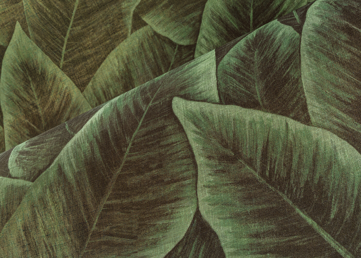 Arte Décors Panoramiques Bird Of Paradise