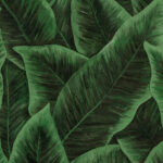 Arte Decors panoramiques Bird of paradise behang in kleur Emerald (97572) - Product close-up