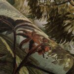 Arte Decors panoramiques Paradisiac behang (97791) - Sfeerbeeld