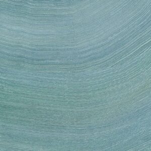 Elitis Lanzarote Calero VP 1028-41 Lumineuses ondulations product detail