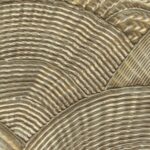 Behang met schelpmotief van Elitis Ecume Calyptra RM 1118-91