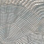 Behang met schelpmotief van Elitis Ecume Calyptra RM 1118-40