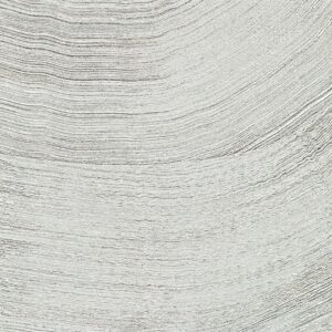 Elitis Lanzarote Calero metal VP 1029-92 Filament d'argent product impressie