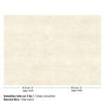 Elitis Lithos behang in kleur Sable de Mélusine (RM 1119-02) - Product patroon