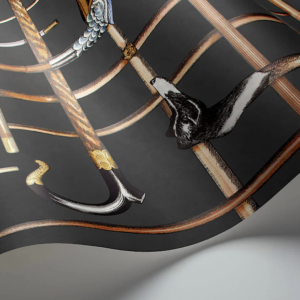 Detail van een Illustratie van het Fornasetti-behang Bastoni geinspireerd op een sjaalprint met wandestokken in groen