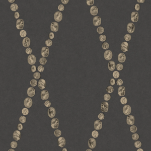 Illustratie van Fornasetti-behang Cammei een wieberpatroon en klassieke munten in zwart/goud