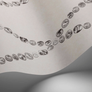 detail van een Illustratie van Fornasetti-behang Cammei een wieberpatroon en klassieke munten in zwart/wit