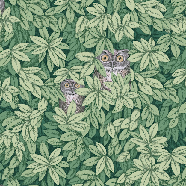 Fornasetti-behang Foglie e Civette met groene bladeren en tekeningen van uilen tussen het gebladerte.