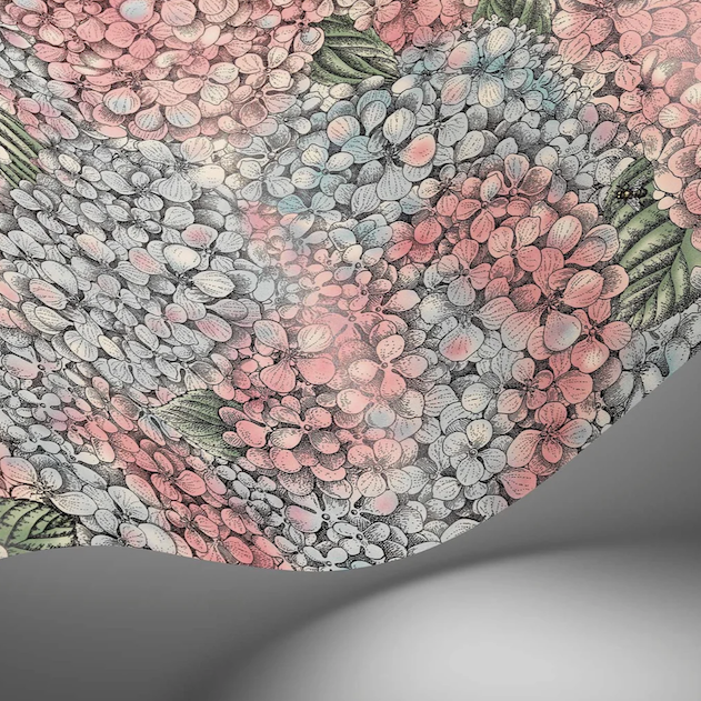 Illustratie van Fornasetti-behang Ortensia met een gedetailleerde tekening van de Ortensia bloemen in pastel kleuren