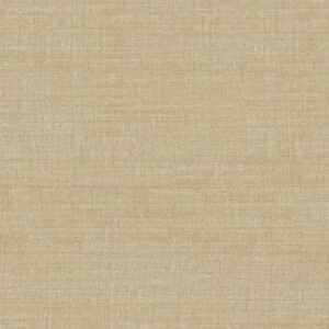 Arte Indienne Bundi behang in kleur Cloth (18360) - Product close-up