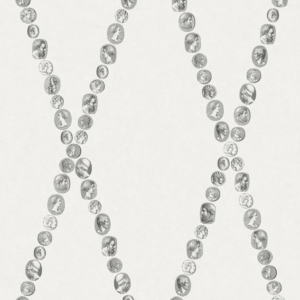 Illustratie van Fornasetti-behang Cammei een wieberpatroon en klassieke munten in zwart/wit