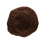 Product weergave van het bruine Limited Edition Utopia vloerkleed UTO2133360 Gingerbread Organic 21