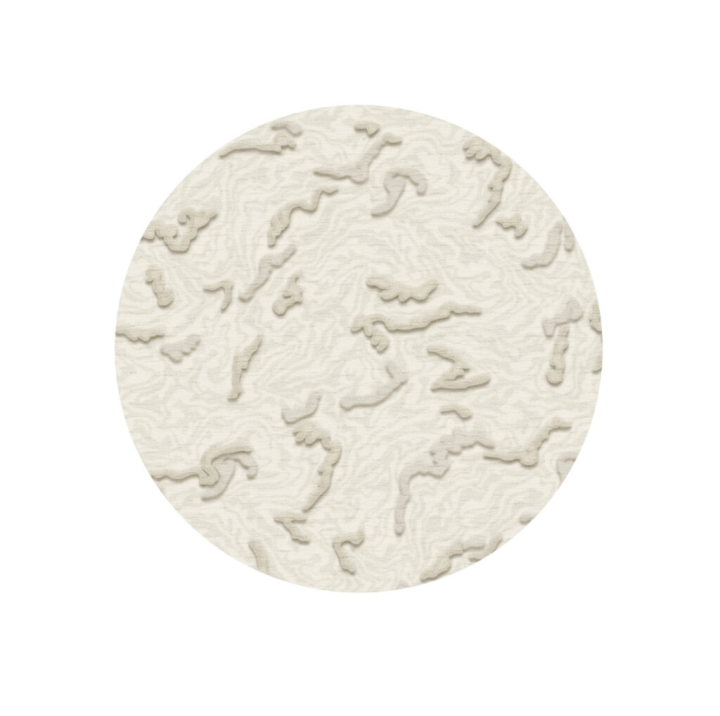 Product weergave van het ronde Limited Edition vloerkleed Arabesque_High_AACH17336_Abalone_Circle