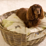 Kussen in de hondenmand van de stof: Andrew Martin Park Life Fabric SPPARKLIFE