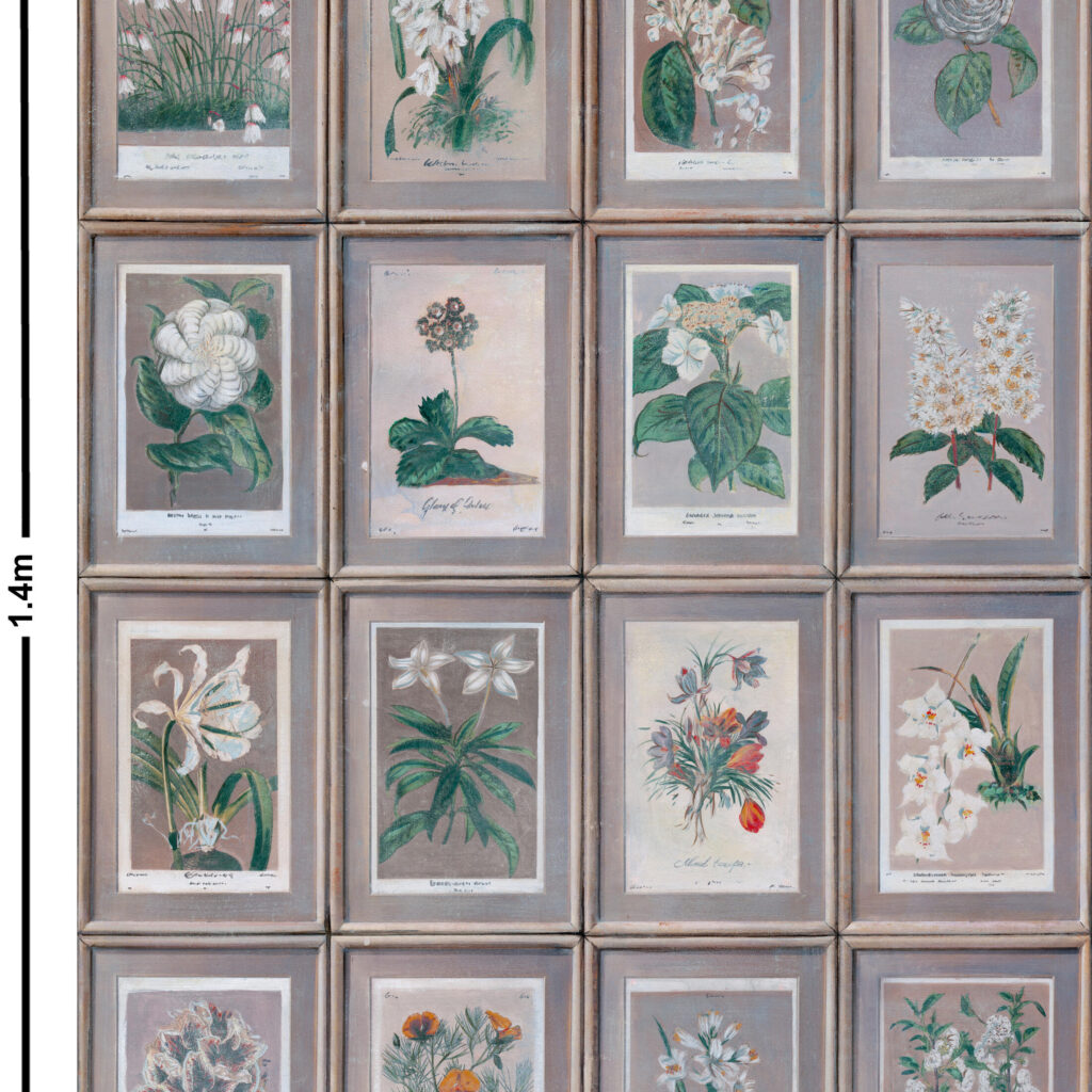 Patroon van het Andrew Martin Floral bloemenbehang