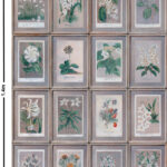 Patroon van het Andrew Martin Floral bloemenbehang