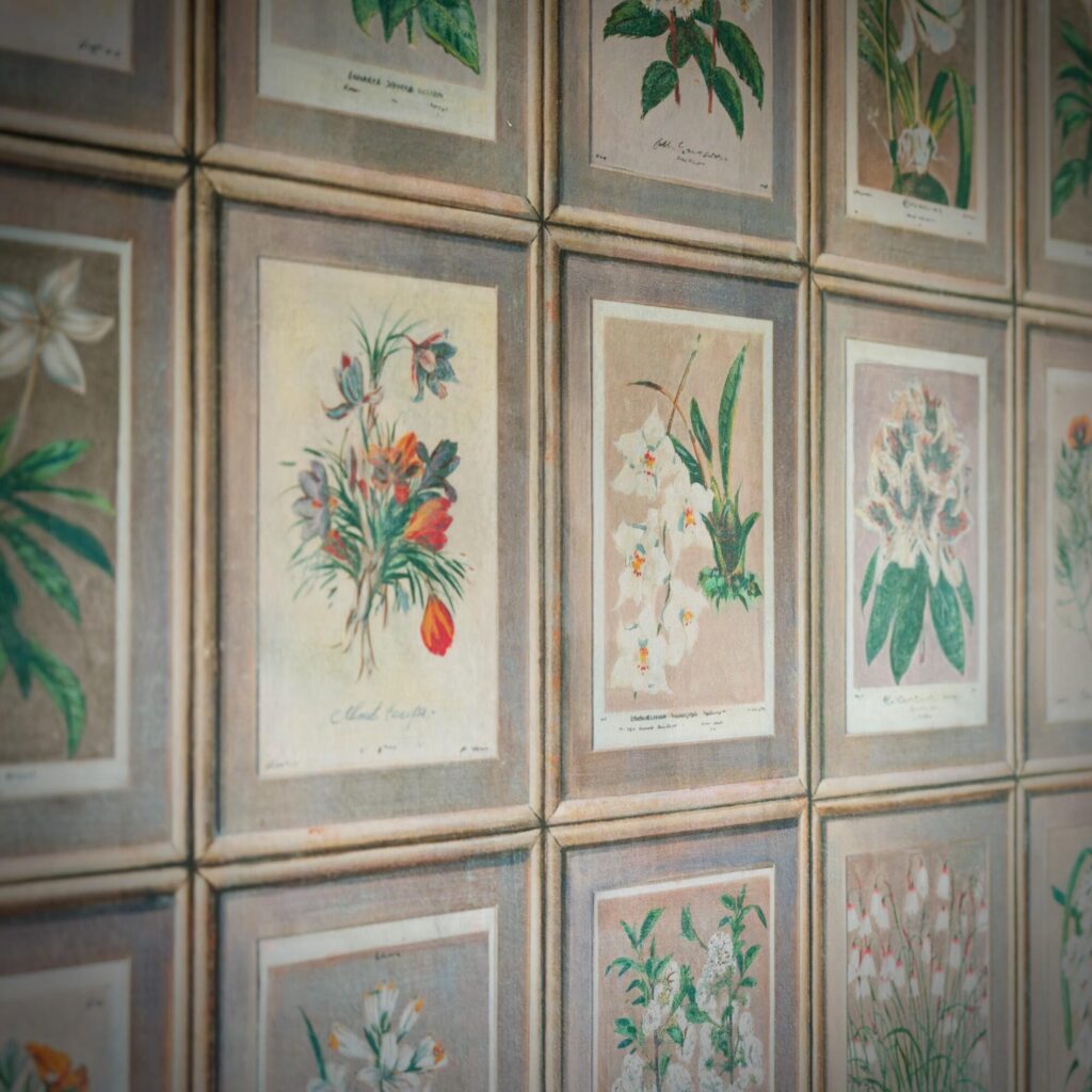 detail van het Andrew Martin Floral bloemenbehang