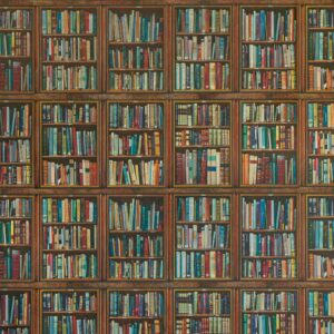 Patroon weergave van het Andrew Martin philosopher behang