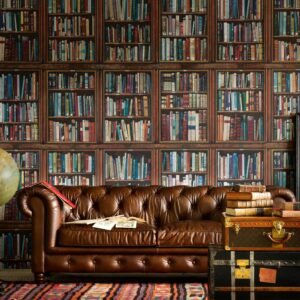 Bibliotheek weergave van het Andrew Martin philosopher behang