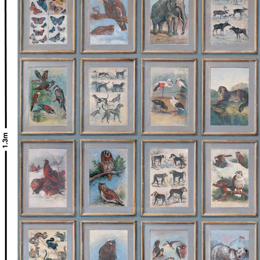 Patroonweergave van het Andrew Martin zoology behang
