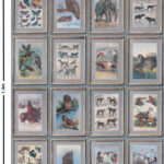 Patroonweergave van het Andrew Martin zoology behang