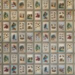 Patroonweergave van het Andrew Martin zoology behang