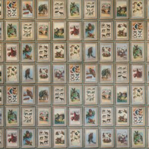 Patroonweergave van het Andrew Martin zoology behang