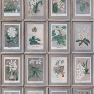 Product weergave van het Andrew Martin Floral bloemenbehang