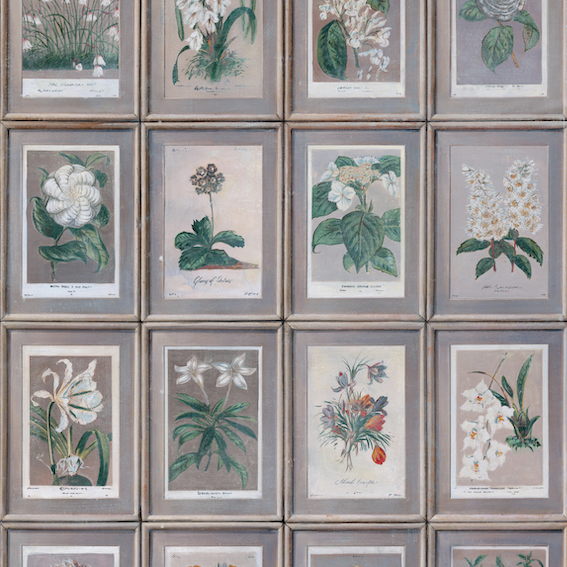 Product weergave van het Andrew Martin Floral bloemenbehang