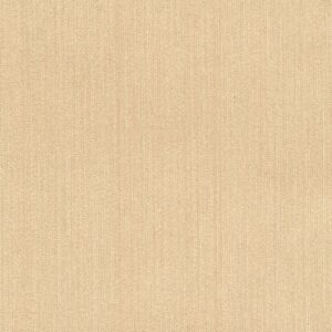 product weergave van het Elitis cartagena-faisceau-RM 1146-10 behang in beige